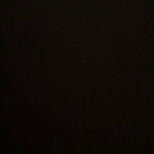 Meet your Posher, Bella